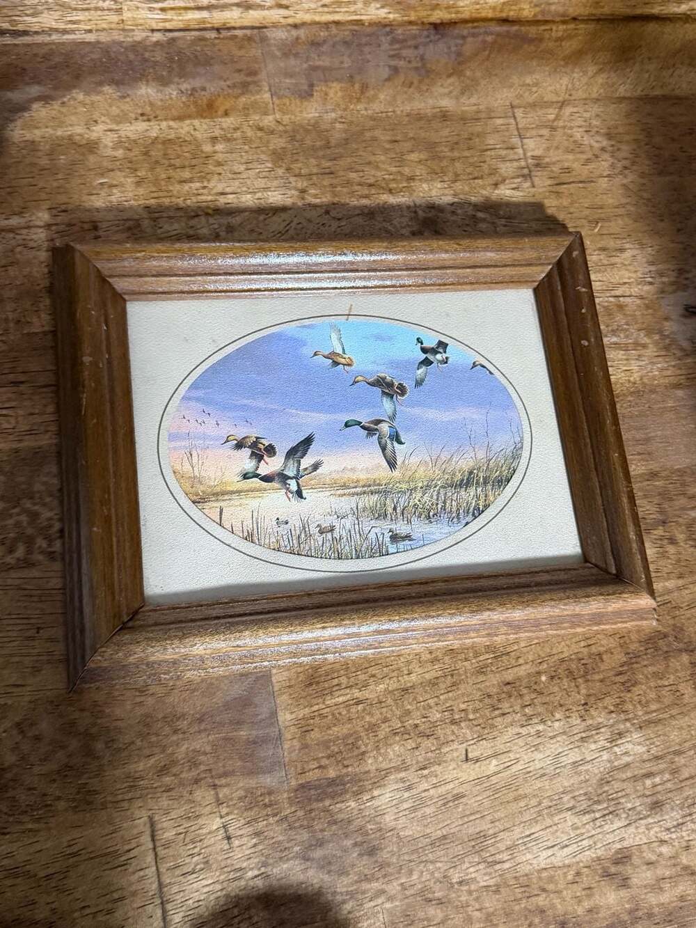 Vintage Small Framed Mallard Duck Print Wall Art